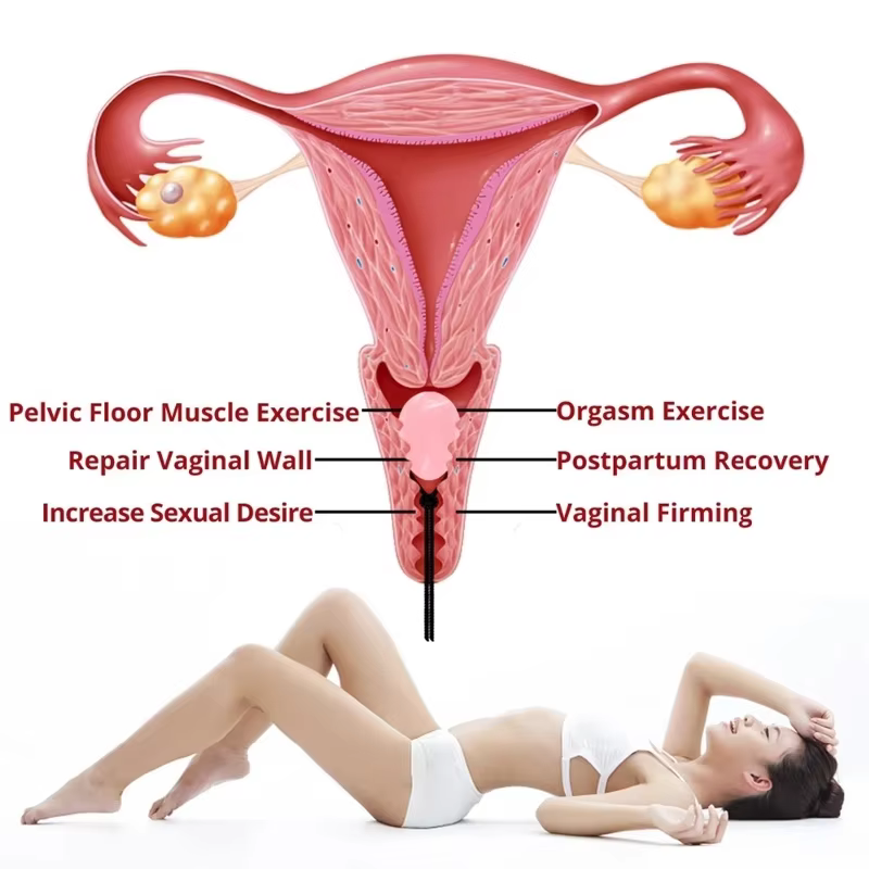 30 X 20 MM Massage Egg Natural - مراجعة Xbody Health & Wellness وسعره