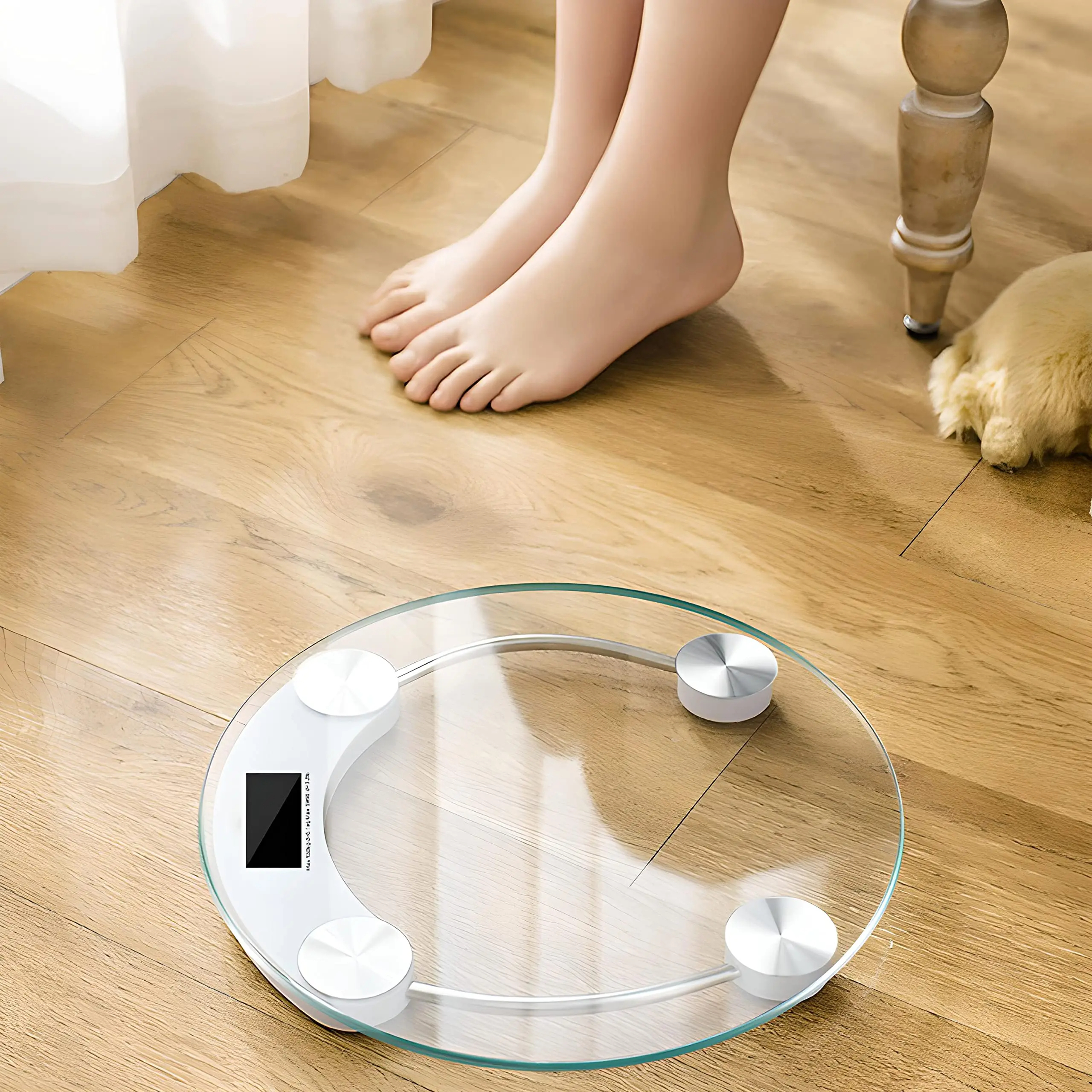 Fashion Round Weight Scale Ele - مراجعة Digital Body Weight Scale وسعره