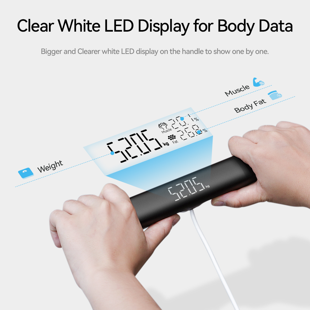 Smart Scale for Body Weight, F - مراجعة Digital Body Weight Scale وسعره