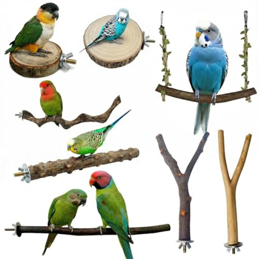8PCS natural wood bird perches - مراجعة Health & Wellness Urgent Care وسعره