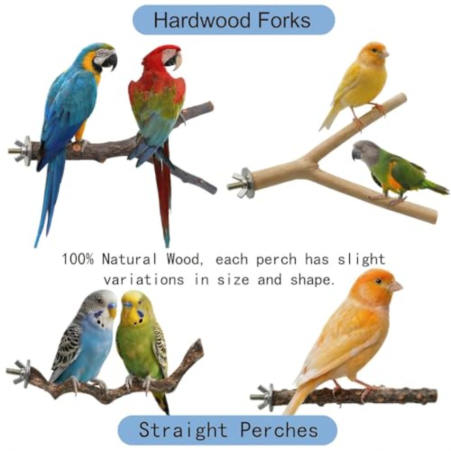8PCS natural wood bird perches - مراجعة Health & Wellness Urgent Care وسعره