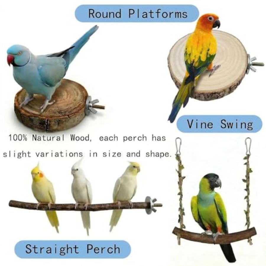 8PCS natural wood bird perches - مراجعة Health & Wellness Urgent Care وسعره