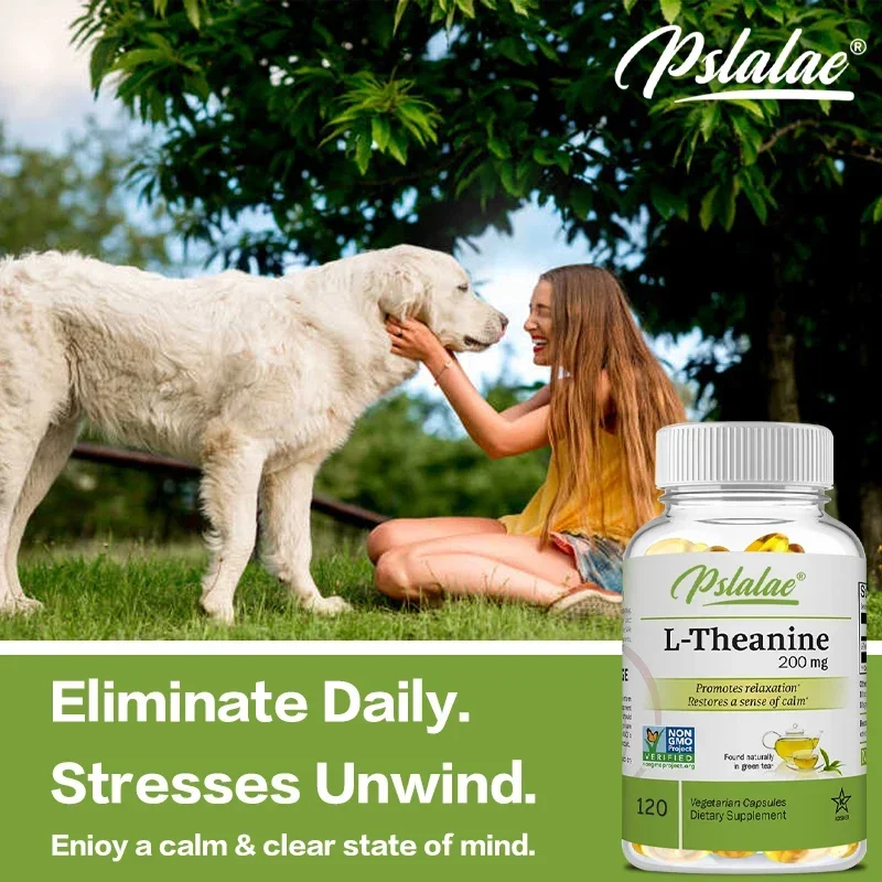 L-Theanine 200 Mg - Relaxation - مراجعة Health Wellness Mental Health وسعره