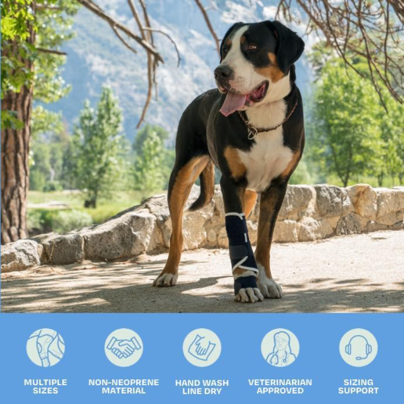 Carpal Hyperextension Dog Brac - مراجعة Ankle Brace Support وسعره
