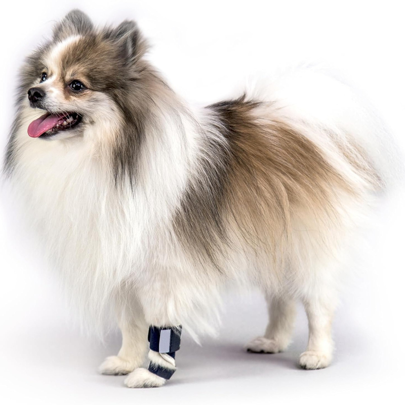Carpal Hyperextension Dog Brac - مراجعة Ankle Brace Support وسعره